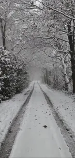 Snow-covered road with tree-lined path for winter mobile wallpaper.