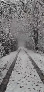 Snow-covered road with winter trees in a serene landscape.