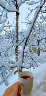 Snow-covered trees with a warm cup of tea in hand.