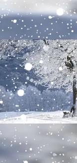 Tranquil snowy landscape with tree and snowfall.