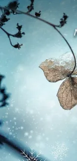 Winter leaf with snowflakes and blue gradient background.