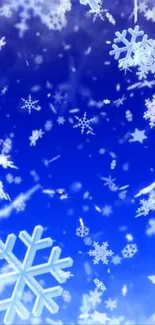 Blue wallpaper with snowflakes floating elegantly.