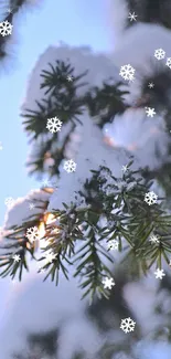 Snow-covered pine branch with falling snowflakes.