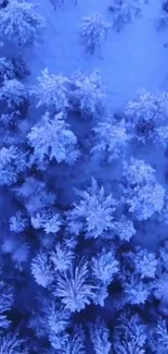 Aerial view of a snowy forest with a winter wonderland atmosphere.