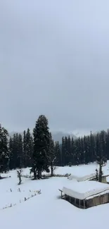 Serene snowy forest with cabin under gray skies.