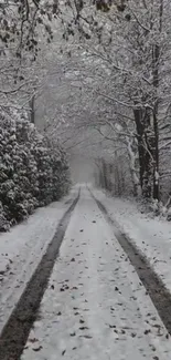 Serene snow-covered path through a winter forest.