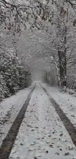 Snow covered path through winter forest.