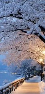 Snow-covered path with trees and streetlights in winter evening.