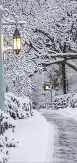 Snowy winter path with street lamp lighting the way.