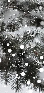 Snow-covered pine branches with falling snowflakes.