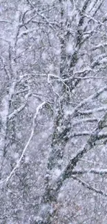 Snowy branches on a tree in winter with heavy snowfall.