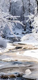 Snow-covered stream in serene winter forest.