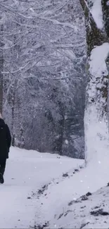 Two people walking on a snowy winter path under frosty trees.