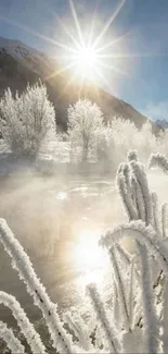 Snowy trees with sunburst on a winter morning landscape.