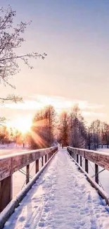 Snow-covered bridge at sunrise during winter.