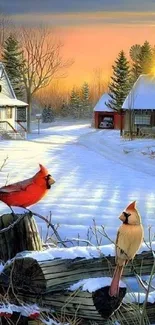 Snowy sunrise with cardinals perched on a rustic fence.