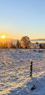 Snowy country path at sunrise with golden sky.