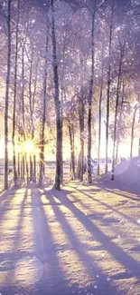 Serene winter forest with a sunrise casting long shadows on the snow-covered ground.