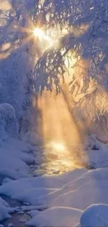 Sunrise over snow-covered winter forest, creating a peaceful and enchanting scene.