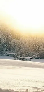 A serene winter sunrise over a snowy forest landscape.