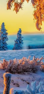 Winter sunrise with snow-covered trees and vibrant orange hues.