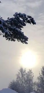 Snowy winter landscape with a sunrise.