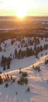 Snowy mountain with trees at sunrise.