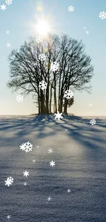 Winter sunrise over a snowy field and solitary tree.