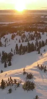 Sunrise over a snowy forest in winter, casting warm light.