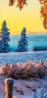 Snow-covered landscape at sunrise with frosty trees and vibrant sky.