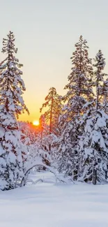 Scenic winter forest at sunrise with snow-laden trees and golden sky.