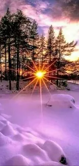 Winter sunrise over snowy trees with vibrant sun.