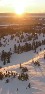 Sunrise over snowy landscape with trees in winter.