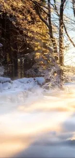 Snowy landscape with sunrise through trees and golden sunlight.