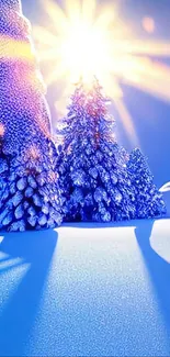 Snowy trees under bright sun in winter wonderland scene.