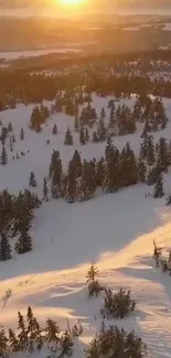 Golden sunset over snowy hills and trees.