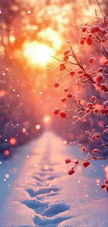 Snowy path with sunset and pink glow, tranquil winter scene.