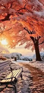 Winter sunset with pink trees and snow-covered path.