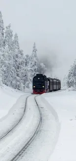 Train traveling through snowy forest, winter scene.