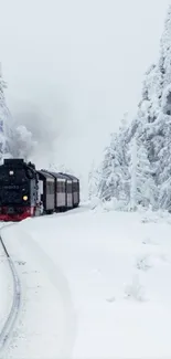 Train traveling through snowy winter landscape with trees and tracks.