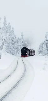 Steam train navigating a snowy winter landscape, framed by frosted trees.