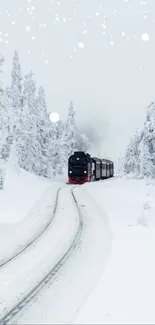 Train traveling through snow-covered forest with icy trees.