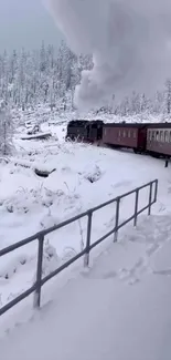 Steam train traveling through snowy winter landscape.