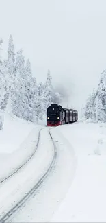 Train on a snowy track through frosty winter landscape.