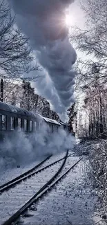 Snowy forest scene with a steam train on tracks in cold winter weather.