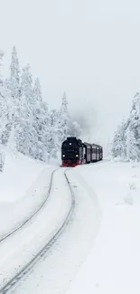 Steam train on snowy tracks through a frosty forest in winter.