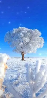 Lone frosty tree under clear blue sky, surrounded by a snowy landscape.