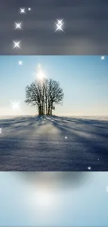 Solitary tree in winter landscape with sparkling stars in the sky.