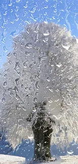 Snow-covered tree with raindrops on glass.