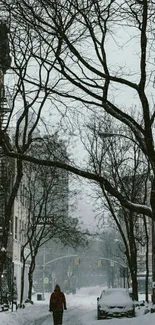 Snowy urban street scene with trees.